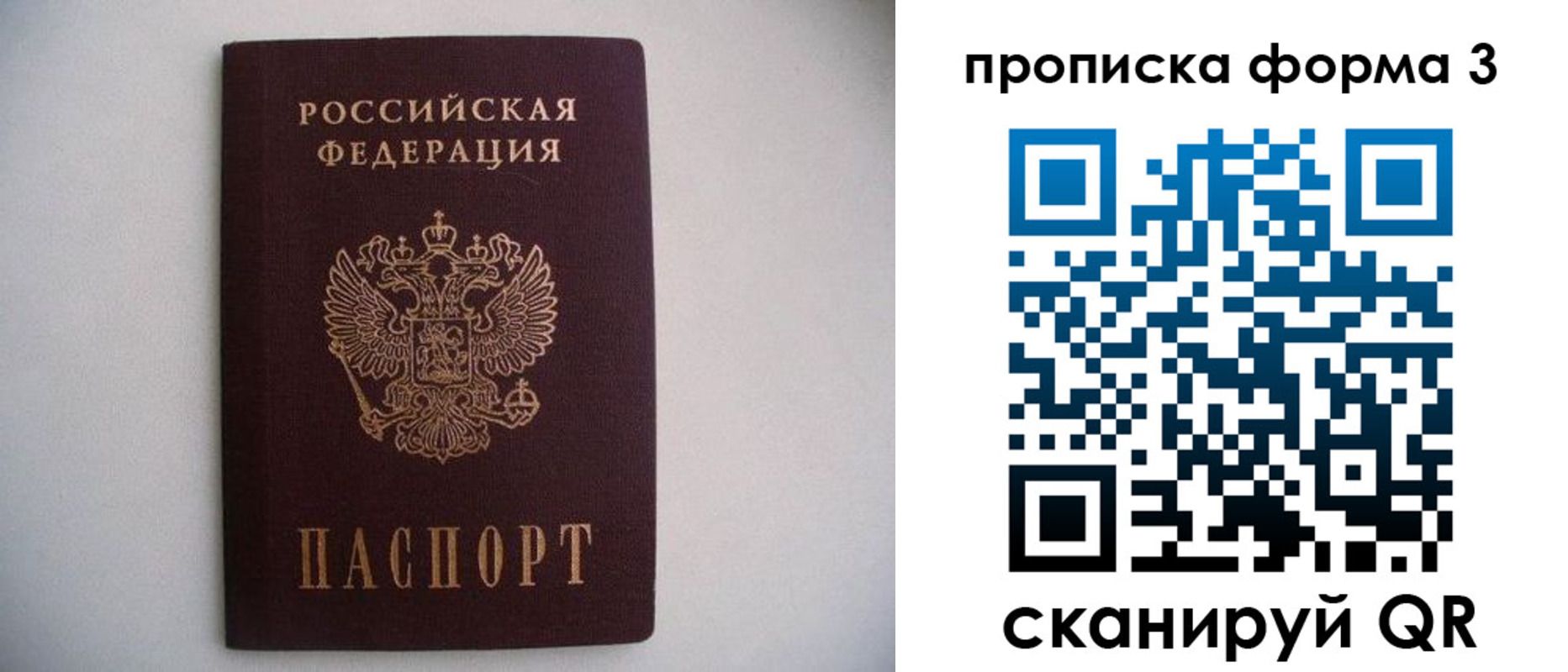 прописка в Гусеве